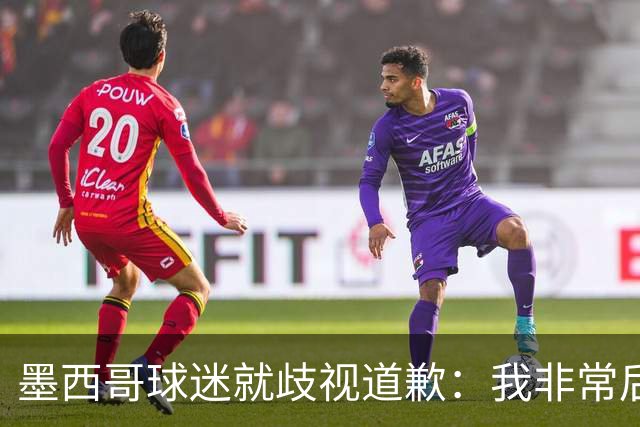墨西哥球迷就歧视道歉：我非常后悔，已辞去工程师协会职务
