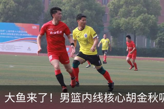 大鱼来了！男篮内线核心胡金秋吸引多队报价，广东队可能放走焦泊乔？