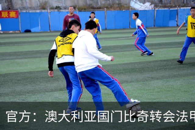 官方：澳大利亚国门比奇转会法甲特鲁瓦；曾在世界杯表现神勇