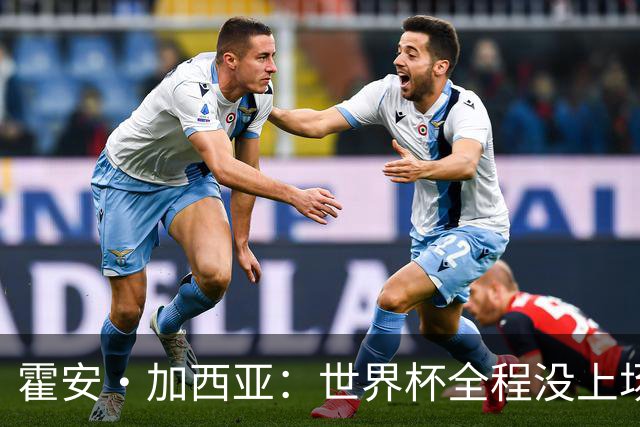霍安·加西亚：世界杯全程没上场我完全接受，我们替补同样是冠军